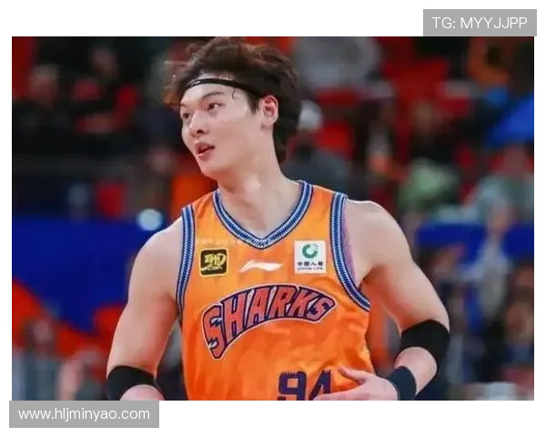 [CBA]布莱德索击地妙传 王哲林轻松打成2+1.